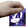 DataPet