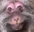 monkeyHappy