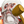 engiBap
