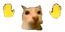 LaraLara