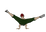 ConS