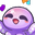 StargazerHype