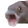 OOOO