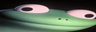LIZARD