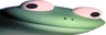 Lizard