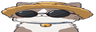 wideCatNod