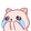 CryingKitty