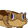 LBdragonjam
