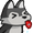 Wolfsilly