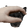 YungSavZPet