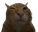 BUH