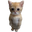 LilFella