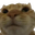 CatNOPERS
