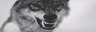 Growls