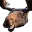 MooseGrin