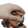 RazePet