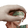 SkyePet