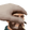 BrimStonePet