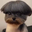 DogstAre