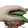 TBQPetPet