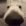 SNIFFSNIFF