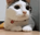 CatNoNO