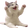 SittingCatCheer