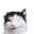 ACHOO