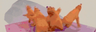 BearParty