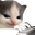 heheChatting