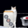 CATBEPLAYINGMAHJONG