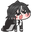 zealrySpeaki