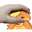 aviPets