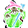 SQUIDRAKEN