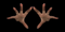AllieReach