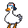 coolaniGoose