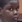 Awkwardkid