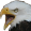 Eaglekappa