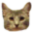 EluneCatface