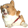 corgiSuprise