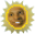 BasedSun