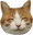 FeelsGoodCat