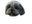 DoggoZ