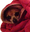 pixBurrito