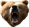 AngryBear