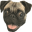 HappyPug