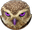 OwlRage