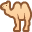 RockCamel