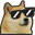 CoolDoge