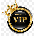 VIP Badge